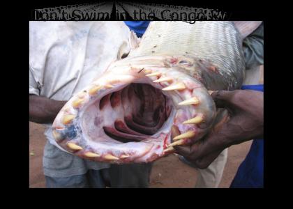 Do Not Swim in the Congo River