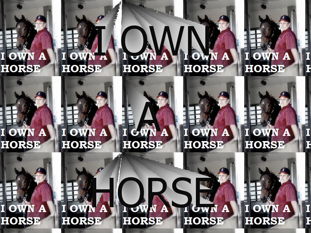 Iownahorse