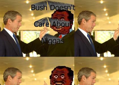 Bush doesn't care about n*gg*s
