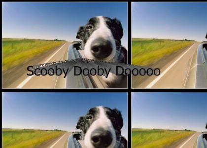 Scooby dooby dooooo!