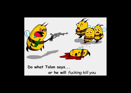 Tolon Bee