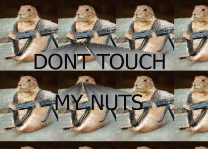 Don't Touch My Nuts
