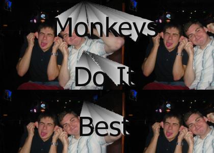 Monkeys Do It Best