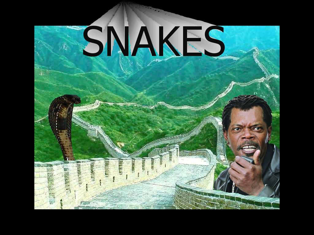 snakesinchina