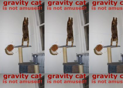 Gravity Cat Not Amused v1.0