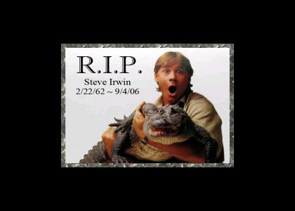 R.I.P. Crocodile Hunter Steve Irwin