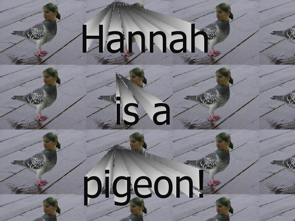 hannahthepigeon