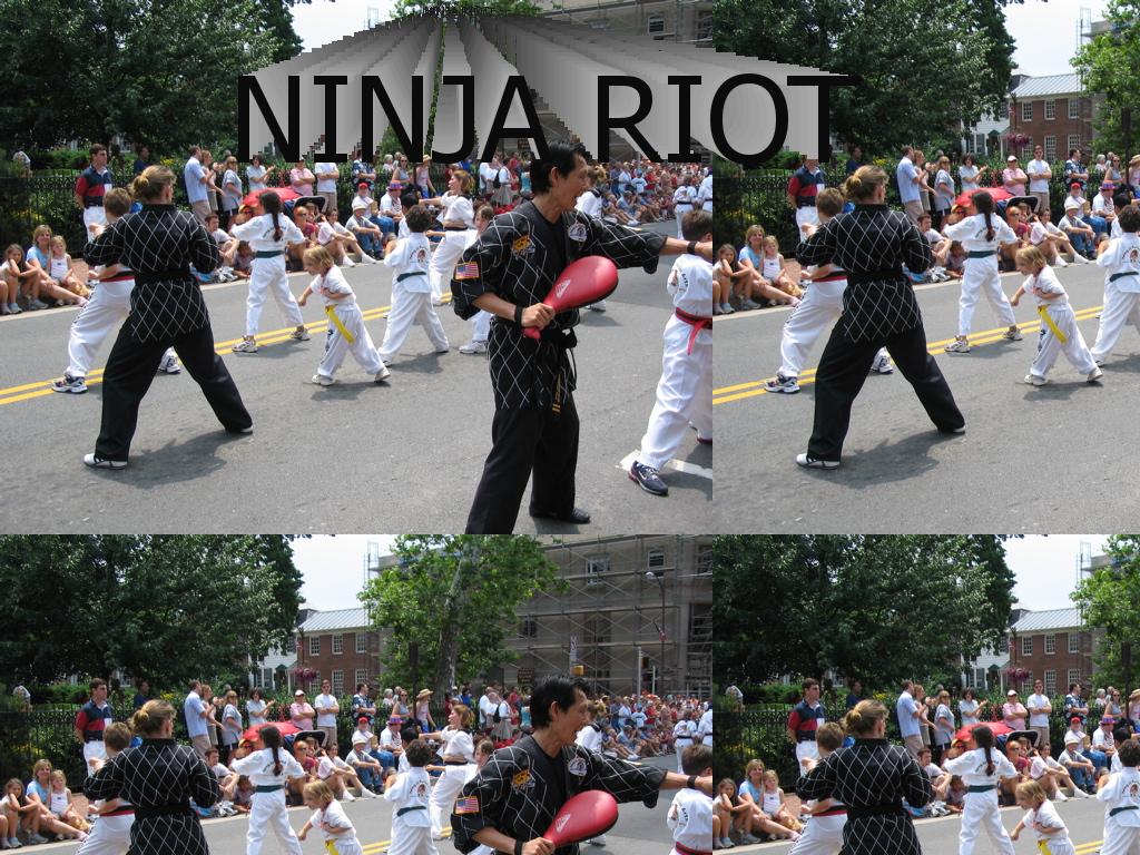 ninjariot
