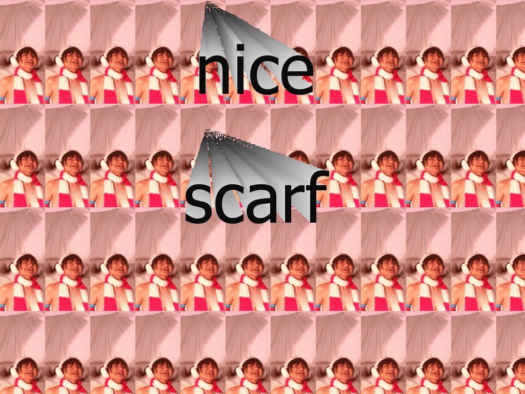 nicescarf