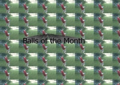 Balls of the month.