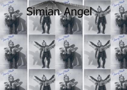 Simian Angel