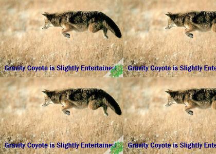 YESYES: Gravity Coyote (Build 1.0.2)
