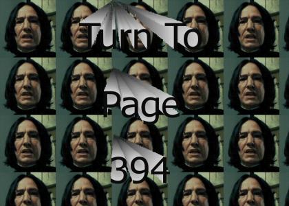 Turn To Page 394