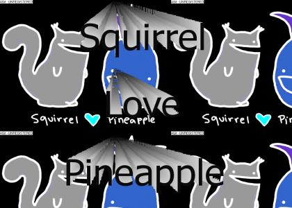 Squirrel Love Pineapple