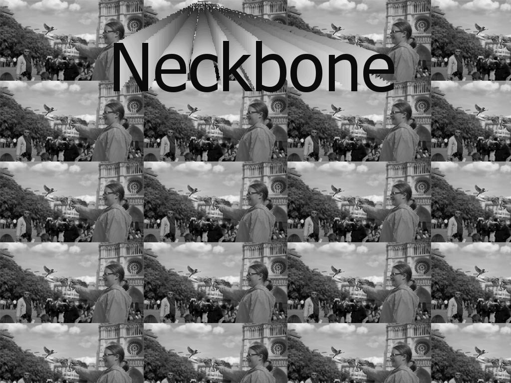 neckbone