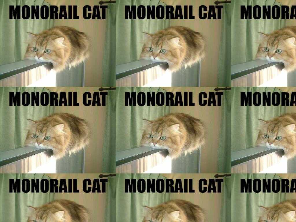 monocat