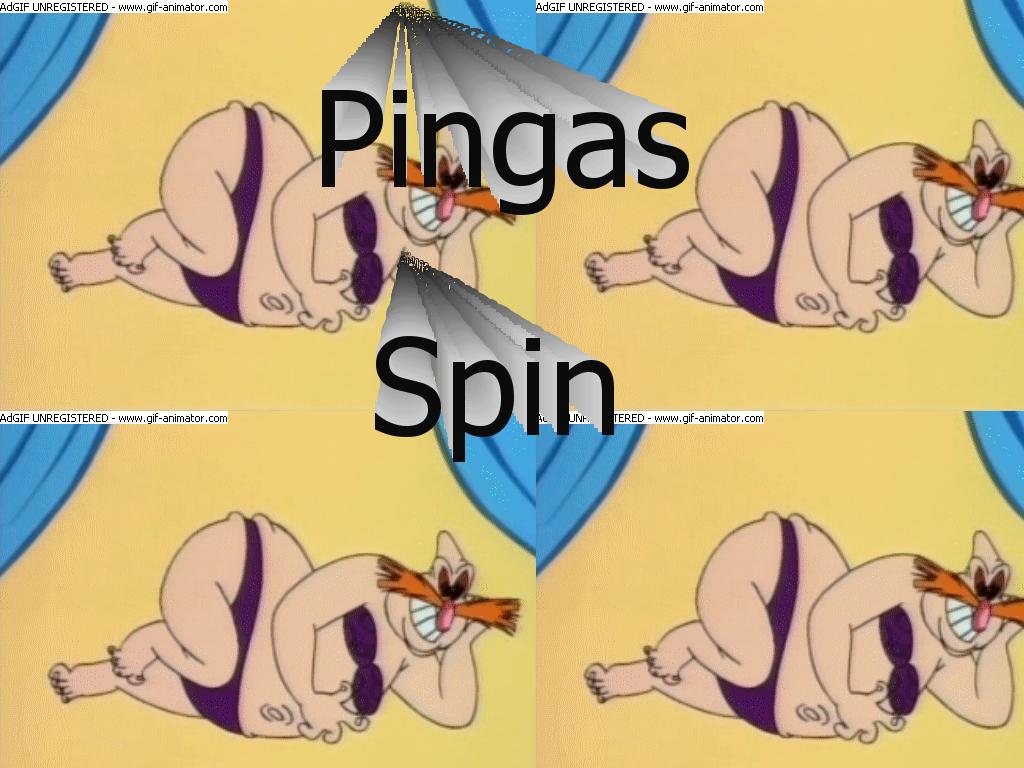 pingasspin