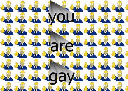 you are gay ( homer)