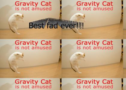 Yet another gravity cat