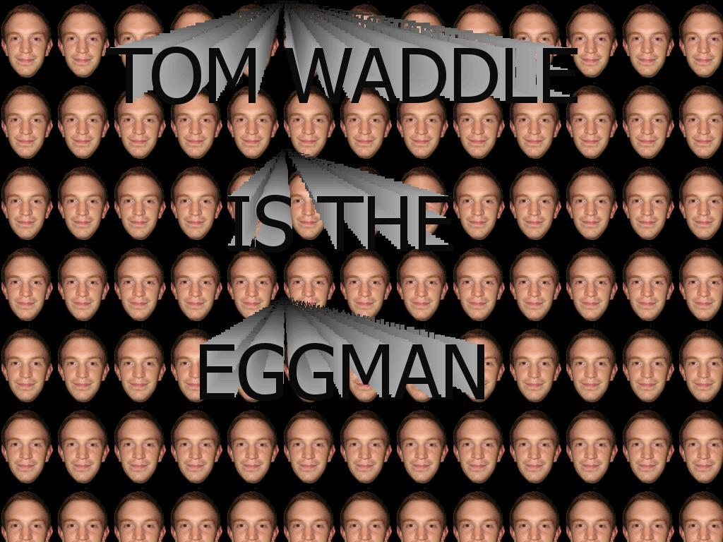 tomeggman