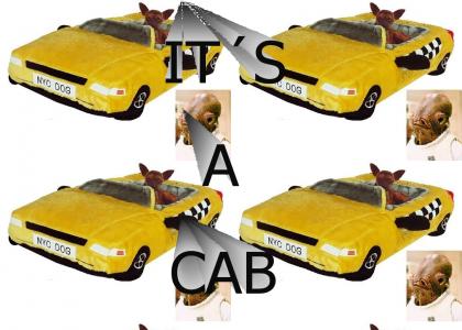 IT'S A CAB
