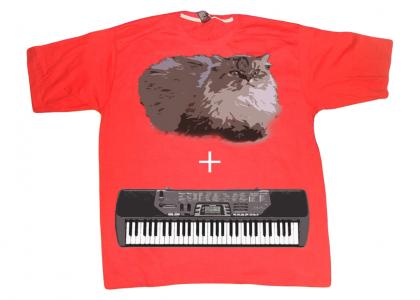 Cat on a T-shirt winning a contest