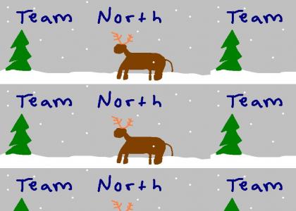 teamnorth