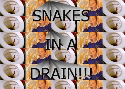 Snakes in a drain!