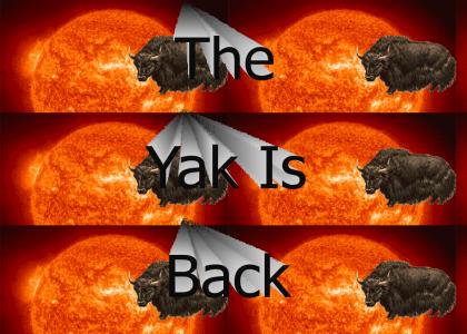 The Yak Is Back