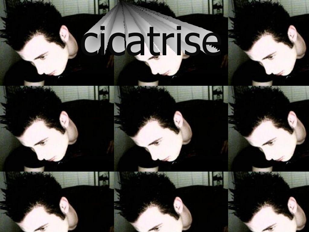 cicatrise