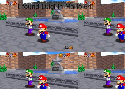 I found Luigi in Mario 64!