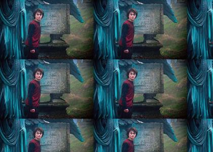 Tom Riddle's Grave Doesn't Change Expressions - Harry Potter