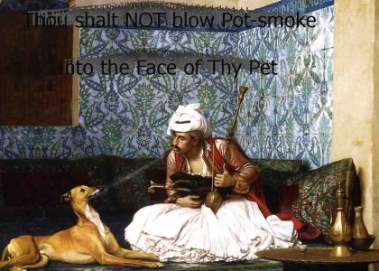 Don't blow pot-smoke in the dog's face !