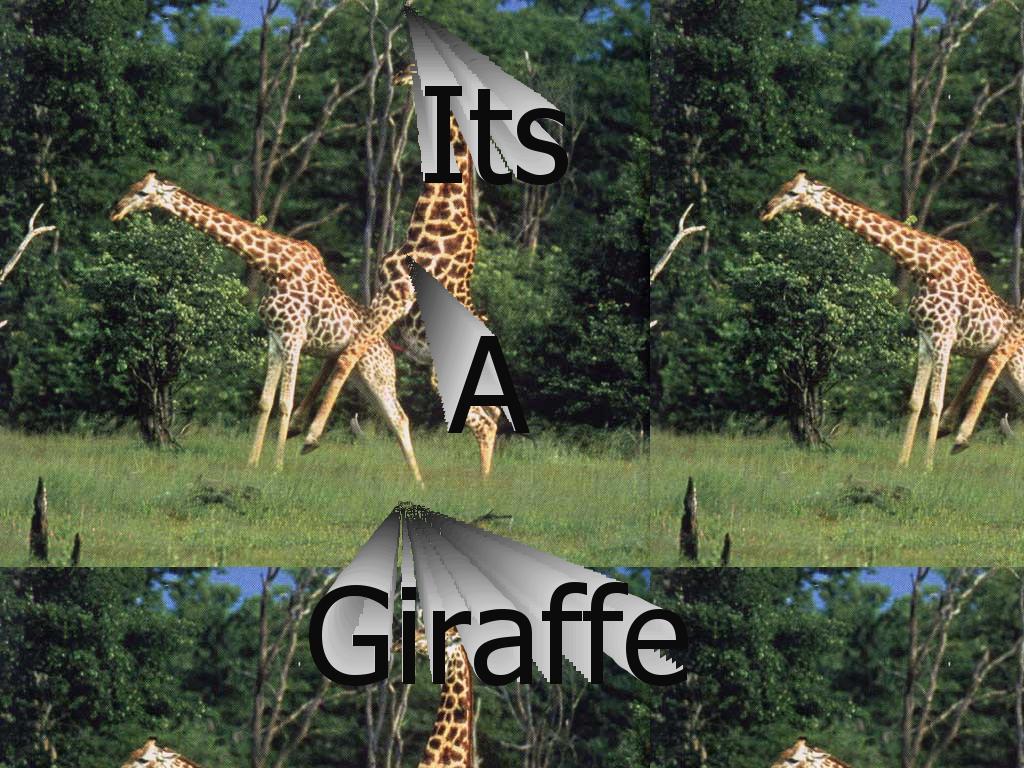 ireallylovegiraffes