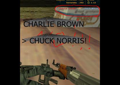 CHUCK NORRIS HAD MET HIS MATCH