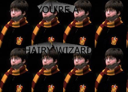You're a Hairy Wizard