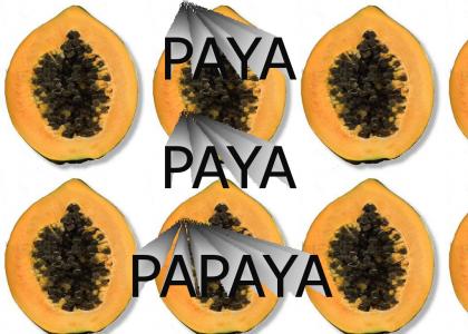 PAYA PAPAYA