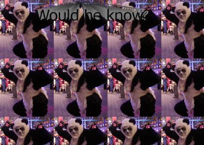 Ask a panda?