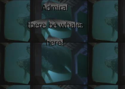 There Be Whales Here