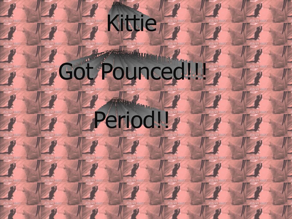 KittyPounce2