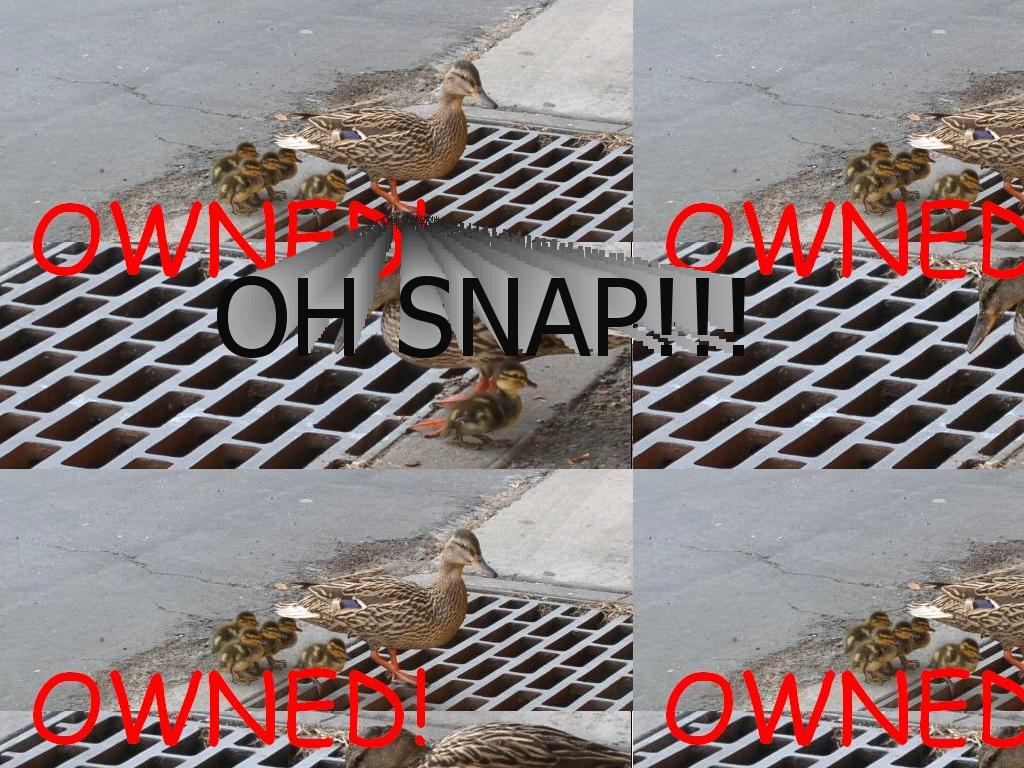 duckspwned