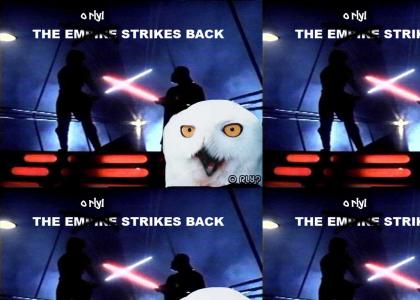 O Rly Owls Strike Back