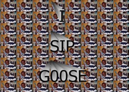 GOOSE