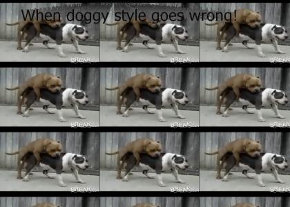 When doggy style goes wrong!