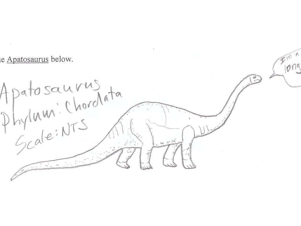 apatosaurus