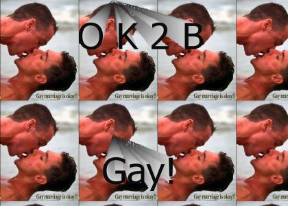 Gay Marriage is Okay (part 2)