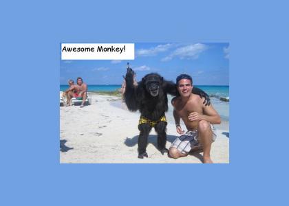 Awesome Monkey!