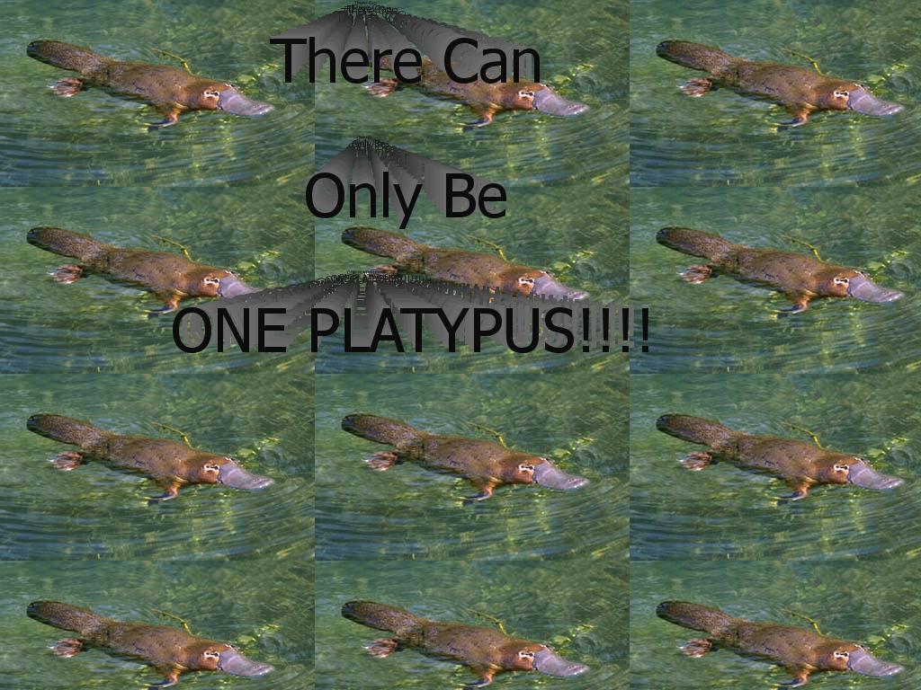 iamaplatypus