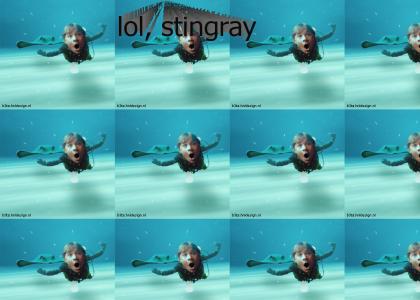 lol, stingray