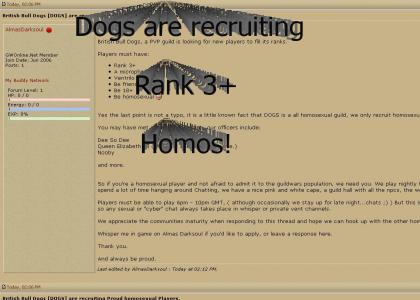 Looking For Homos